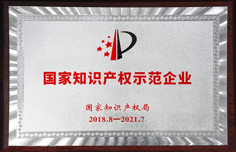 國家知識產(chǎn)權示范企業(yè)
